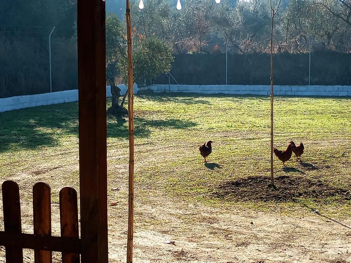 Casa De Campo Los Manueles Ideal Perros Pet Friendly Gojar Holiday home