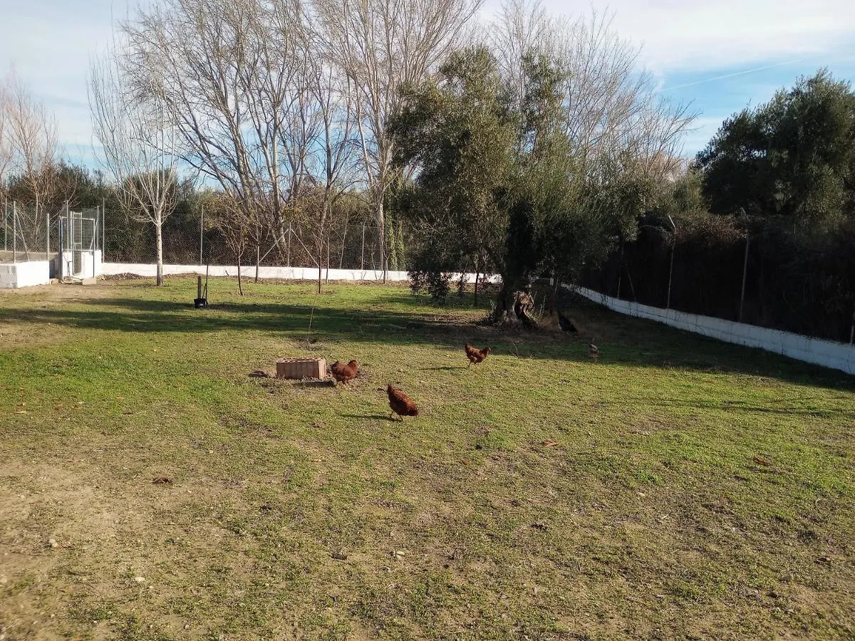 Вилла Casa De Campo Los Manueles Ideal Perros Pet Friendly Гохар