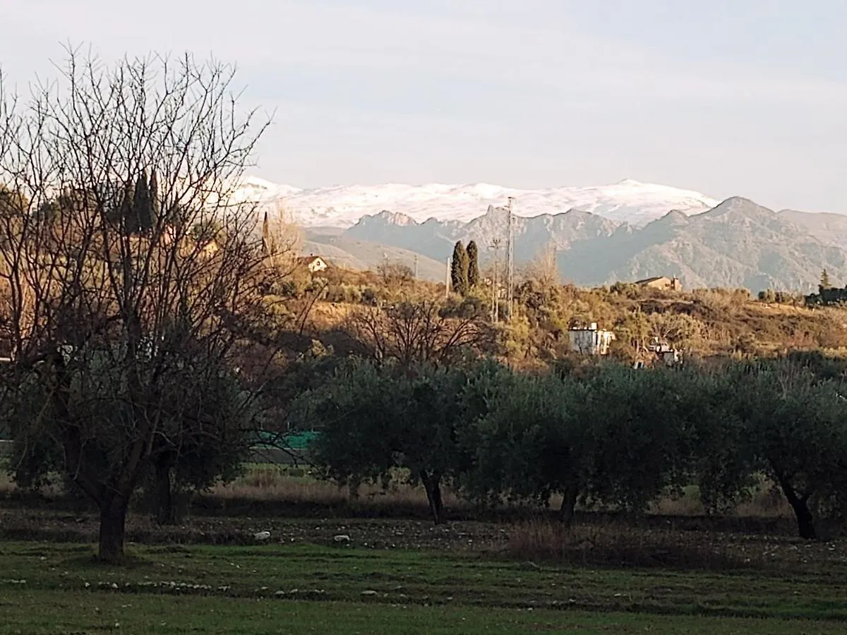 Casa De Campo Los Manueles Ideal Perros Pet Friendly Gojar 0*,  Spain