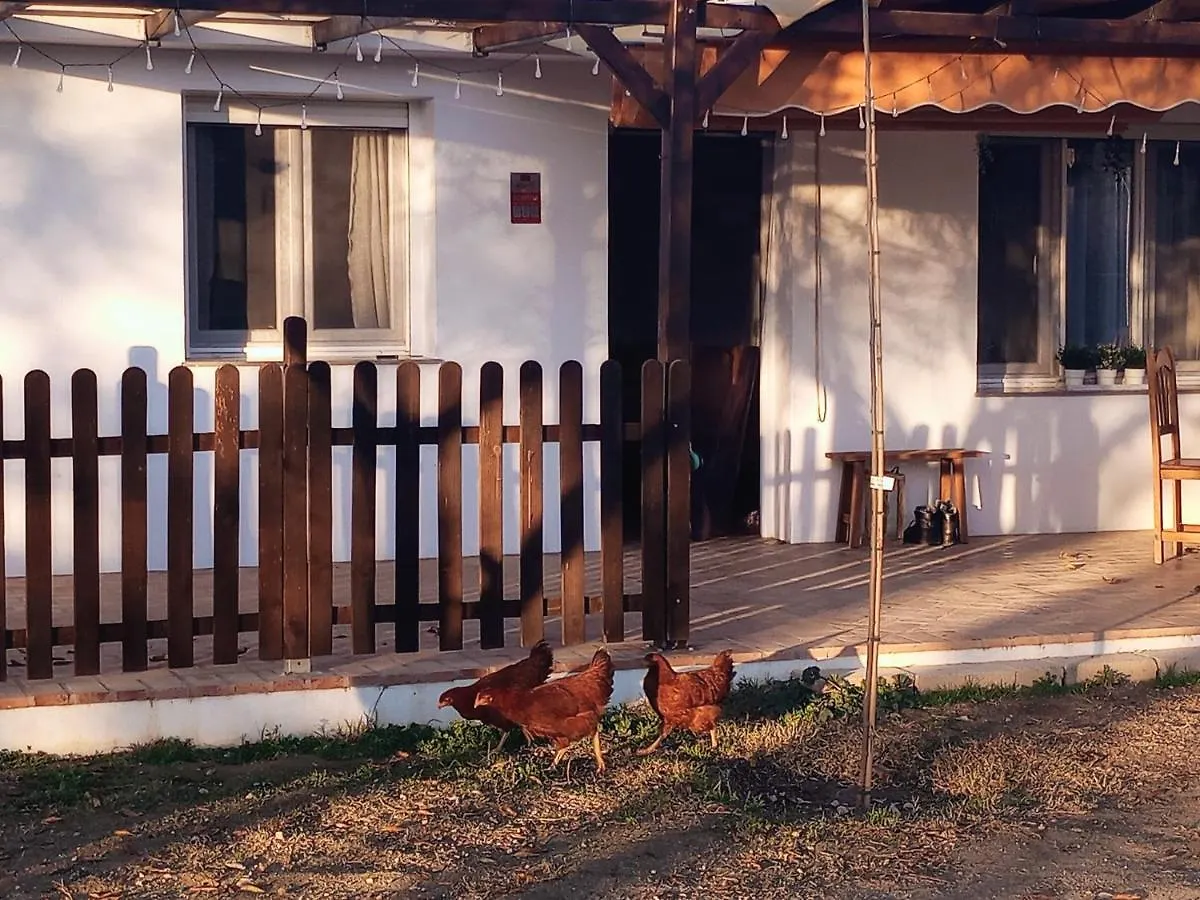 Дом отдыха Вилла Casa De Campo Los Manueles Ideal Perros Pet Friendly Гохар