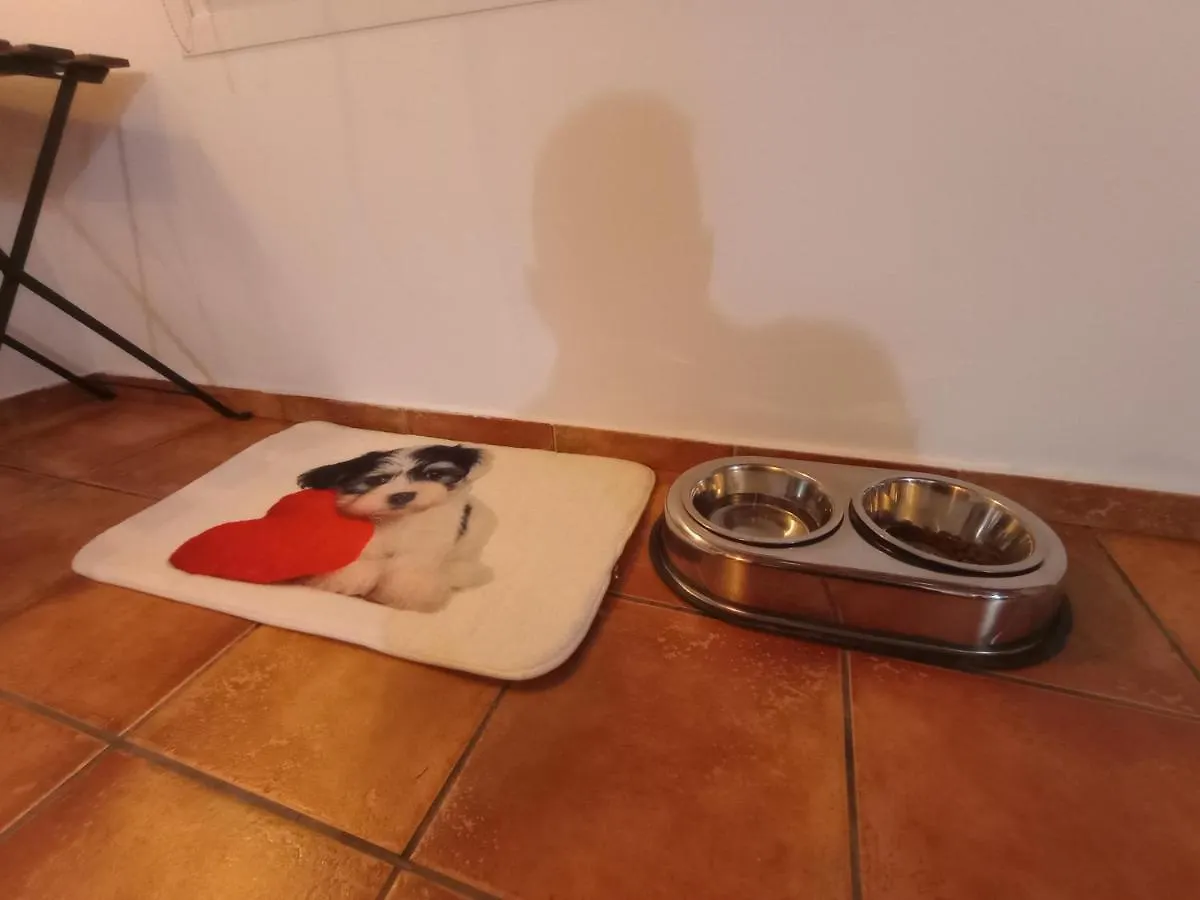 Casa De Campo Los Manueles Ideal Perros Pet Friendly Gojar Holiday home