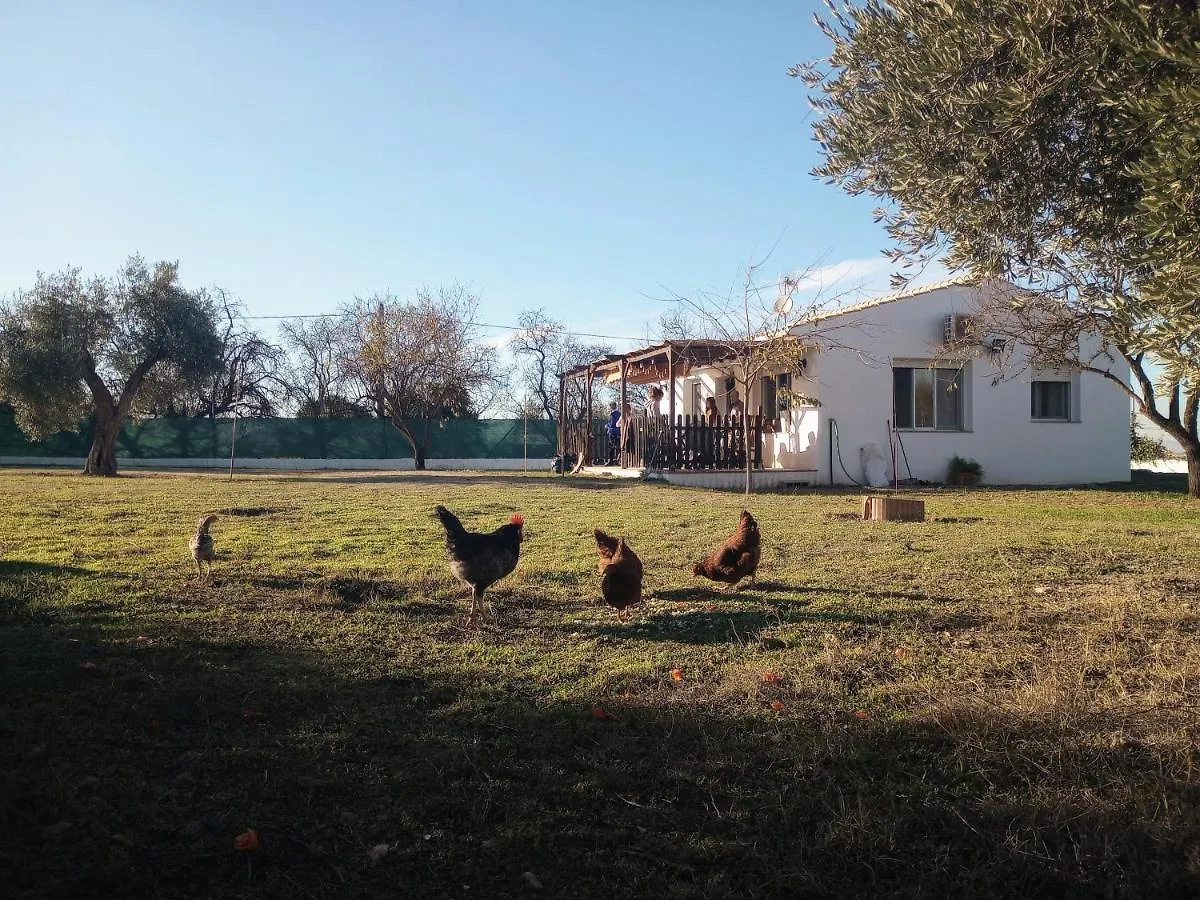 Casa De Campo Los Manueles Ideal Perros Pet Friendly Gojar 0*,  Spain
