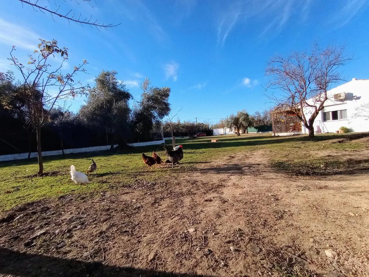 Holiday home Casa De Campo Los Manueles Ideal Perros Pet Friendly Gojar Spain