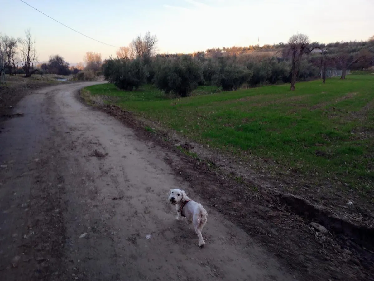 Casa De Campo Los Manueles Ideal Perros Pet Friendly Gojar 0*,  Spain