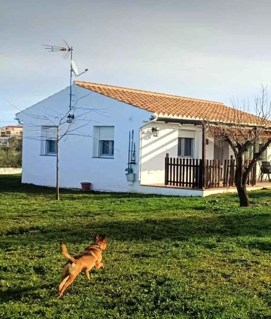 Casa De Campo Los Manueles Ideal Perros Pet Friendly Gojar Holiday home